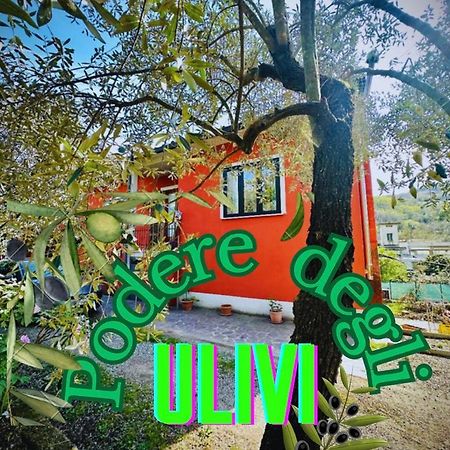 Serravalle PistoiesePodere Degli Ulivi Family别墅 外观 照片