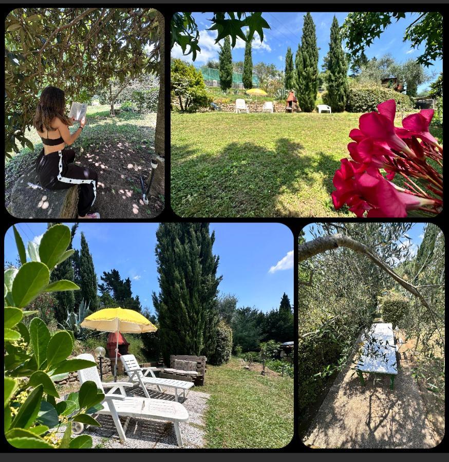 Serravalle PistoiesePodere Degli Ulivi Family别墅 外观 照片